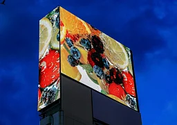 vision_0_img